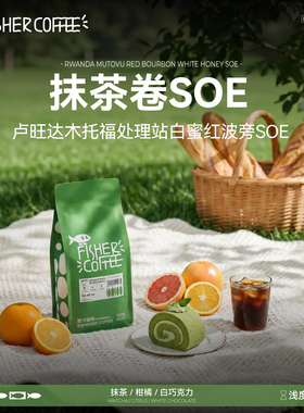 FISHER啡舍 F3卢旺达蜜处理抹茶卷SOE咖啡豆意式手冲新鲜烘焙Omni