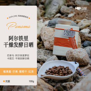 100g 手冲咖啡豆 FISHER 巴拿马阿尔铁里庄园卡图艾干燥发酵日晒