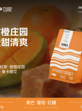 FISHER啡舍 洪都拉斯甜橙庄园黄卡图艾日晒 手冲咖啡豆 227g