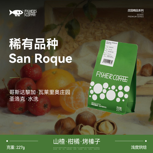 哥斯达黎加瓦莱里奥圣洛克水洗