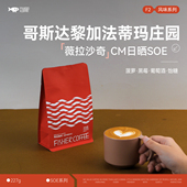 FISHER意式 哥斯达黎加法蒂玛庄园二氧化碳浸渍日晒SOE 咖啡豆F2