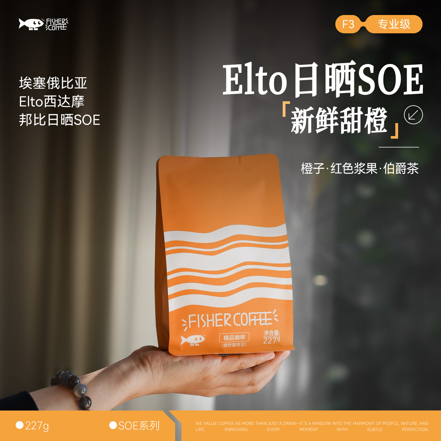 埃塞Elto邦比日晒SOE意式咖啡豆