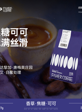 FISHER啡舍 哥斯达黎加唐梅奥庄园卡图艾白蜜处理手冲咖啡豆 227g