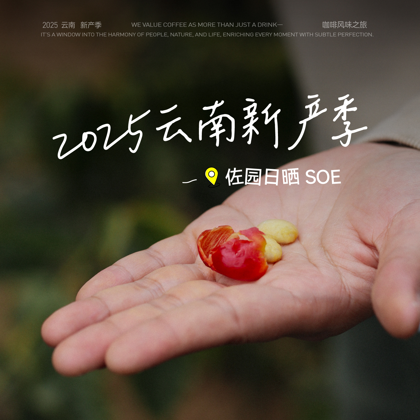 云南佐园日晒SOE意式咖啡豆