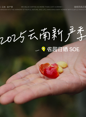 【云南计划】Fisher啡舍F2 中国佐园卡蒂姆日晒SOE意式浓缩咖啡豆