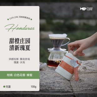 100g 清新瑰夏 227g 洪都拉斯繁花农场瑰夏水洗手冲咖啡豆 FISHER