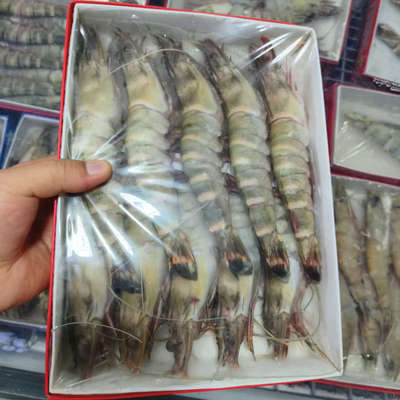 海捕船冻大虎虾10只冷冻大号黑虎虾新鲜大海虾深海虾九节虾 礼盒