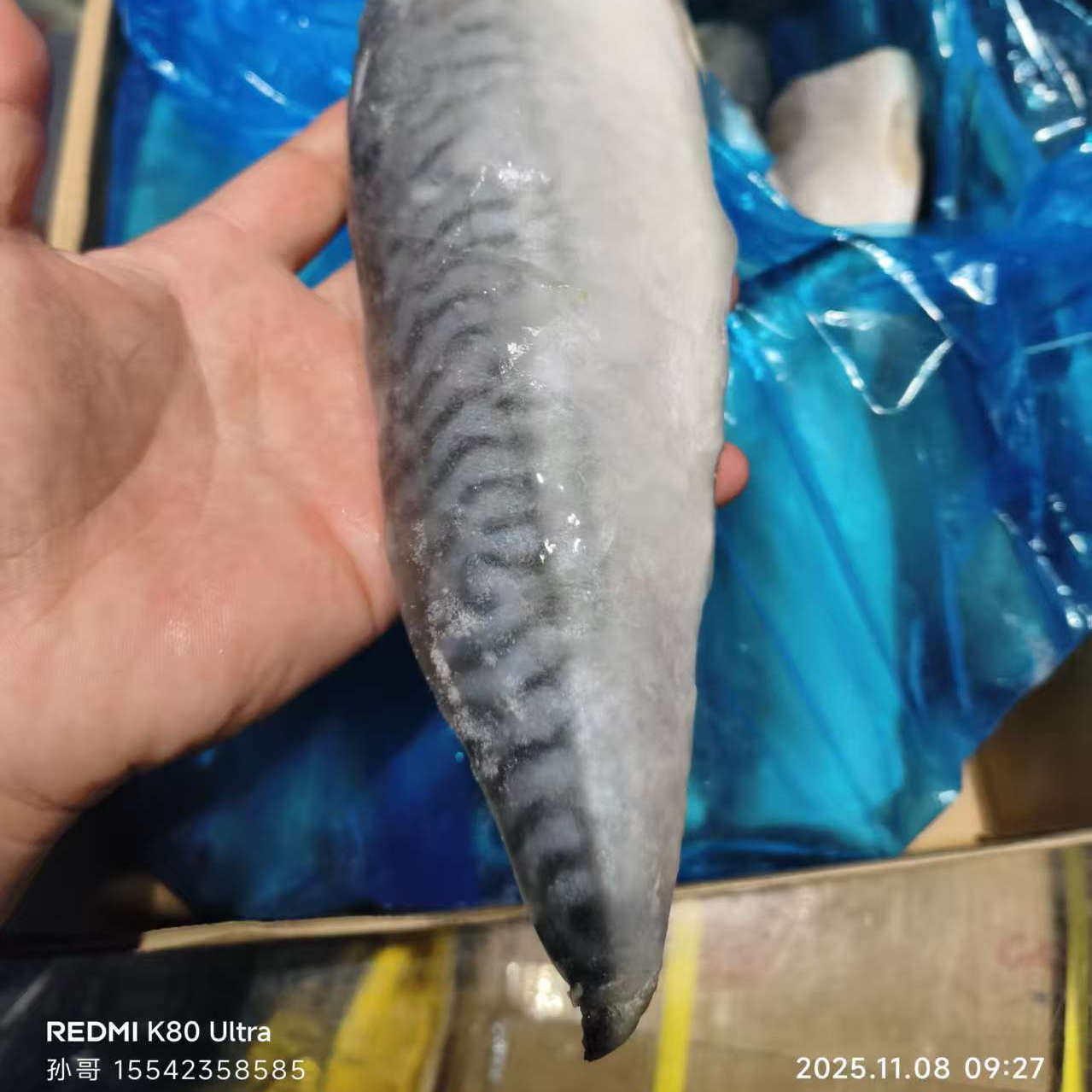 商用冻鲐鱼切片10斤/箱厚冰韩式料理青花鱼片日料寿司鲭鲅鱼烧烤