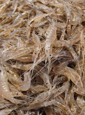 淡水小河虾新鲜美味可油炸小虾