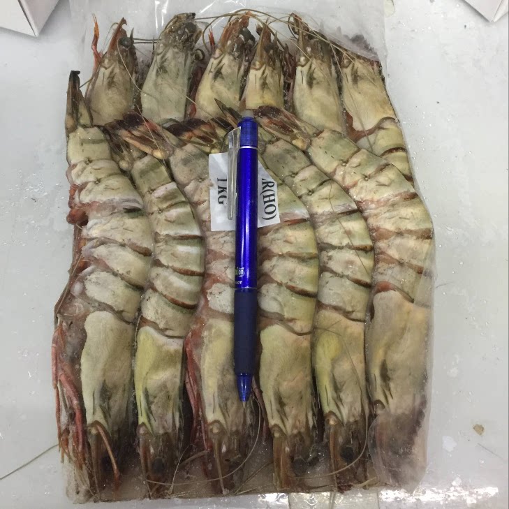 海捕新鲜虎皮虾1kg12只大对虾冷冻海虾礼品虾对虾 竹节虾虎虾草虾
