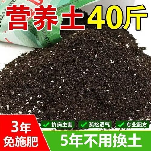 种菜种花营养土养花绿植通用型肥料土壤种菜家用有机花泥花土专用