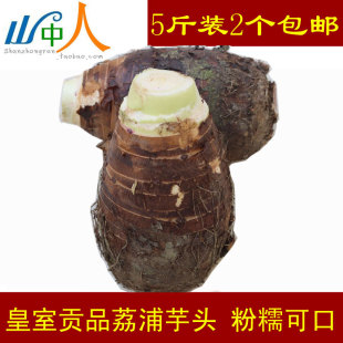 广西特产 甜品店生鲜绿色蔬菜5斤2个大芋头 新鲜正宗贡品荔浦芋头