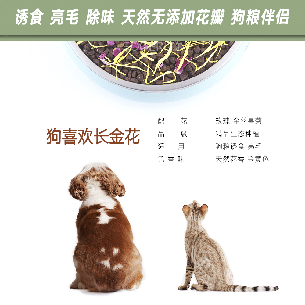 宠物狗粮伴侣天然花瓣亮毛除异味