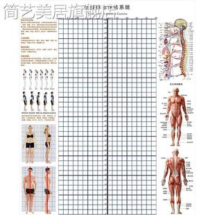 私教体测健身房图姿势表墙体位馆网格背景墙纸体姿瑜伽评估贴体态