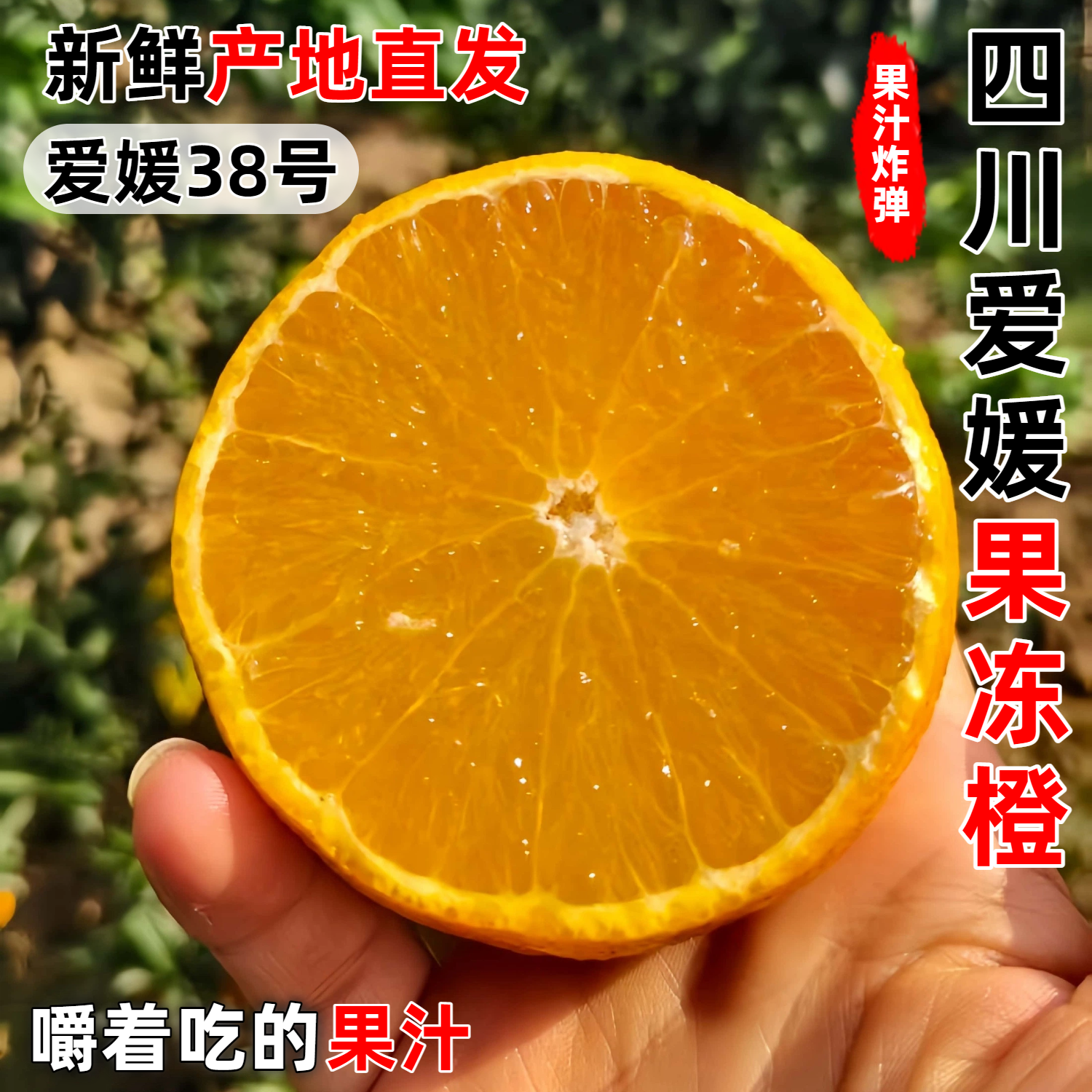 四川爱媛38号果冻橙甜橙整箱包邮