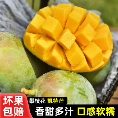 攀枝花芒果凯特芒果新鲜青皮水果大脸芒自家果园现摘现发普箱包邮