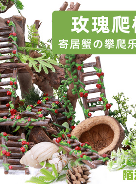 寄居蟹森系攀爬梯子～多风格玫瑰树脂爬梯百搭造景水盆蜕皮桶搭档