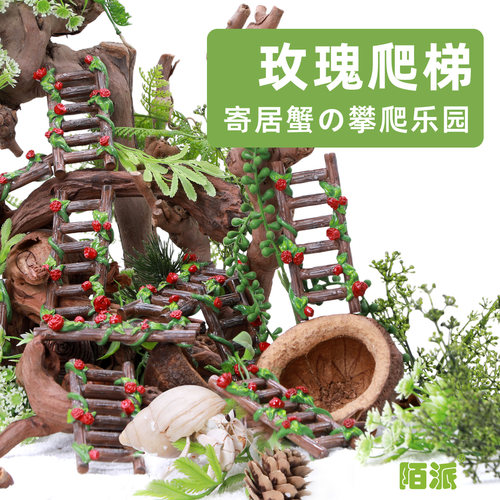 寄居蟹森系攀爬梯子～多风格玫瑰树脂爬梯百搭造景水盆蜕皮桶搭档
