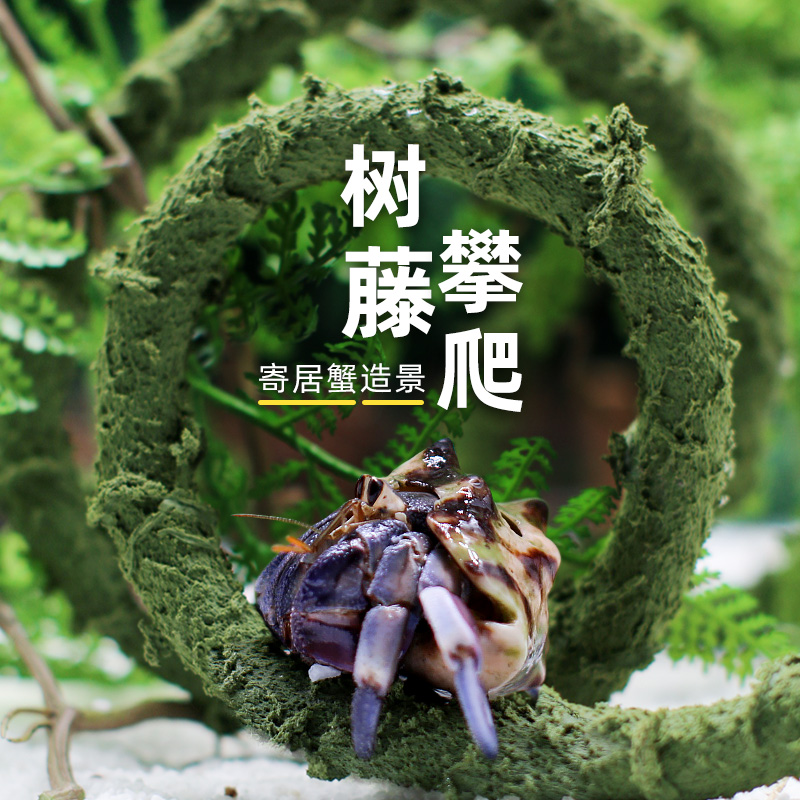 寄居蟹攀爬藤条～大小号造景爬宠过江龙可任意弯曲装饰树藤藤蔓