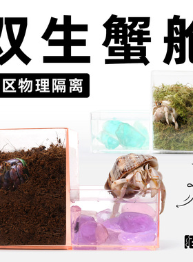 寄居蟹蜕皮桶水盆二合一套装～小号双区物理隔离缸活体孵化盒