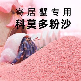 陌派寄居蟹专用粉沙～几近无尘彩沙科莫多粉砂大号小号新手垫材
