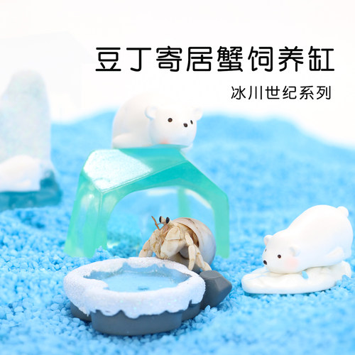 陌派可爱豆丁寄居蟹饲养套装套餐～饲养盒箱办公桌面萌宠儿童礼物