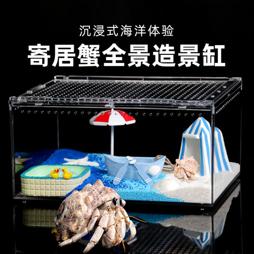 寄居蟹活体新手饲养套餐套装