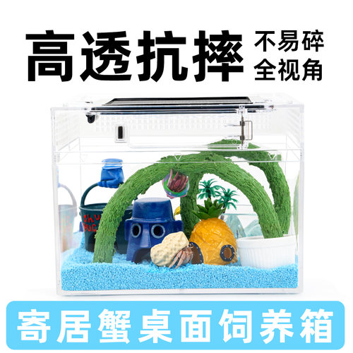 寄居蟹新手饲养箱套餐～桌面高透饲养缸防摔新手宠物饲养套餐礼物
