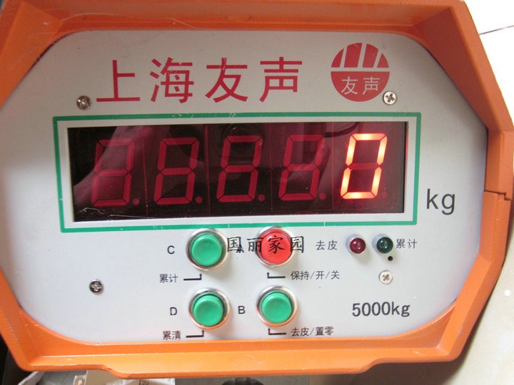 上海友声3T电子吊秤/吊勾秤/吊称/行车秤/电子称