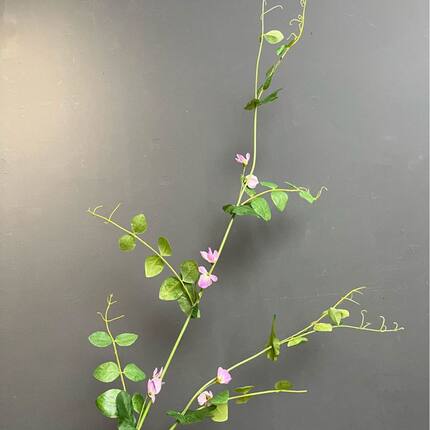 豌豆花仿真假花室内客厅插花摆件绢花三色堇香豌豆家居摆设装饰花
