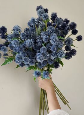 星插花室内中国球枝紫娟1