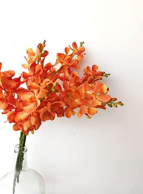 新中式红色橙色仿真手感千代兰过胶绢布兰花假花家居样板房花艺