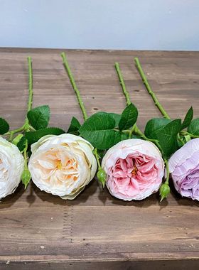 白色奥斯汀玫瑰 单枝3头仿真花假花情人节婚庆花家居摄影装饰花卉