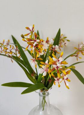 高品质仿真花 铁皮石斛兰 室内美陈装饰 植物墙造景 拍摄好质量