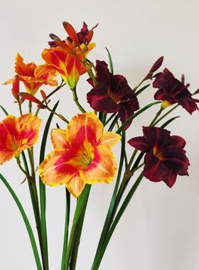 仿真花 朱顶花 萱草 家居装饰 红色系 单枝假花 家居 装饰 摄影