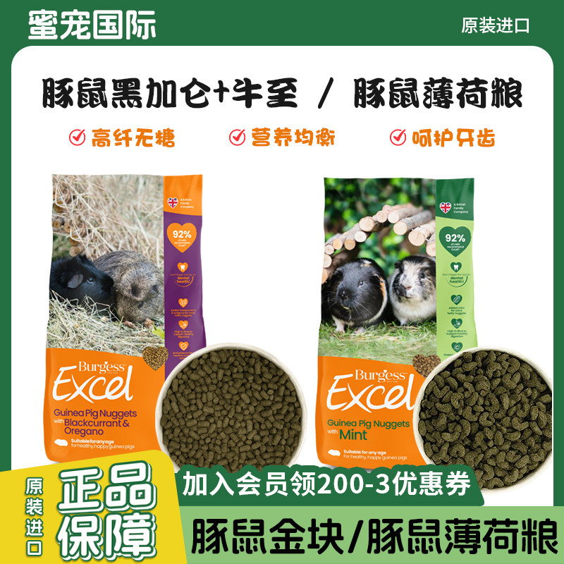 Burgess英国进口薄荷豚鼠粮高纤维全年龄荷兰猪主粮天竺鼠饲料
