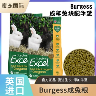 布格斯BURGESS英国进口成兔粮兔兔主粮全面营养兔子饲料