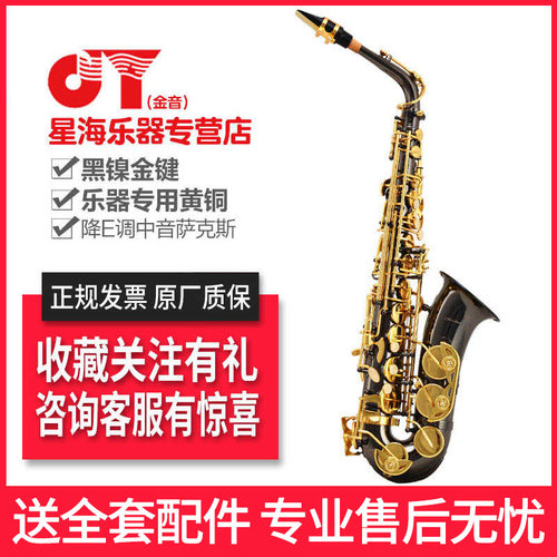 金音jyas-e100c萨克斯风星海