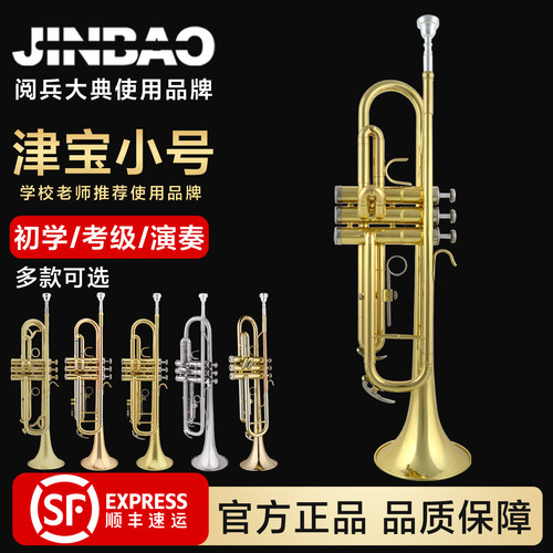 津宝小号乐器专业儿童管乐队磷铜