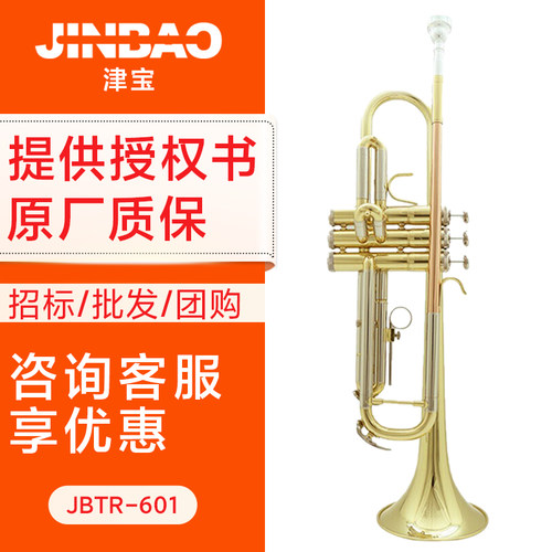 津宝专业小号乐器儿童演奏级成人