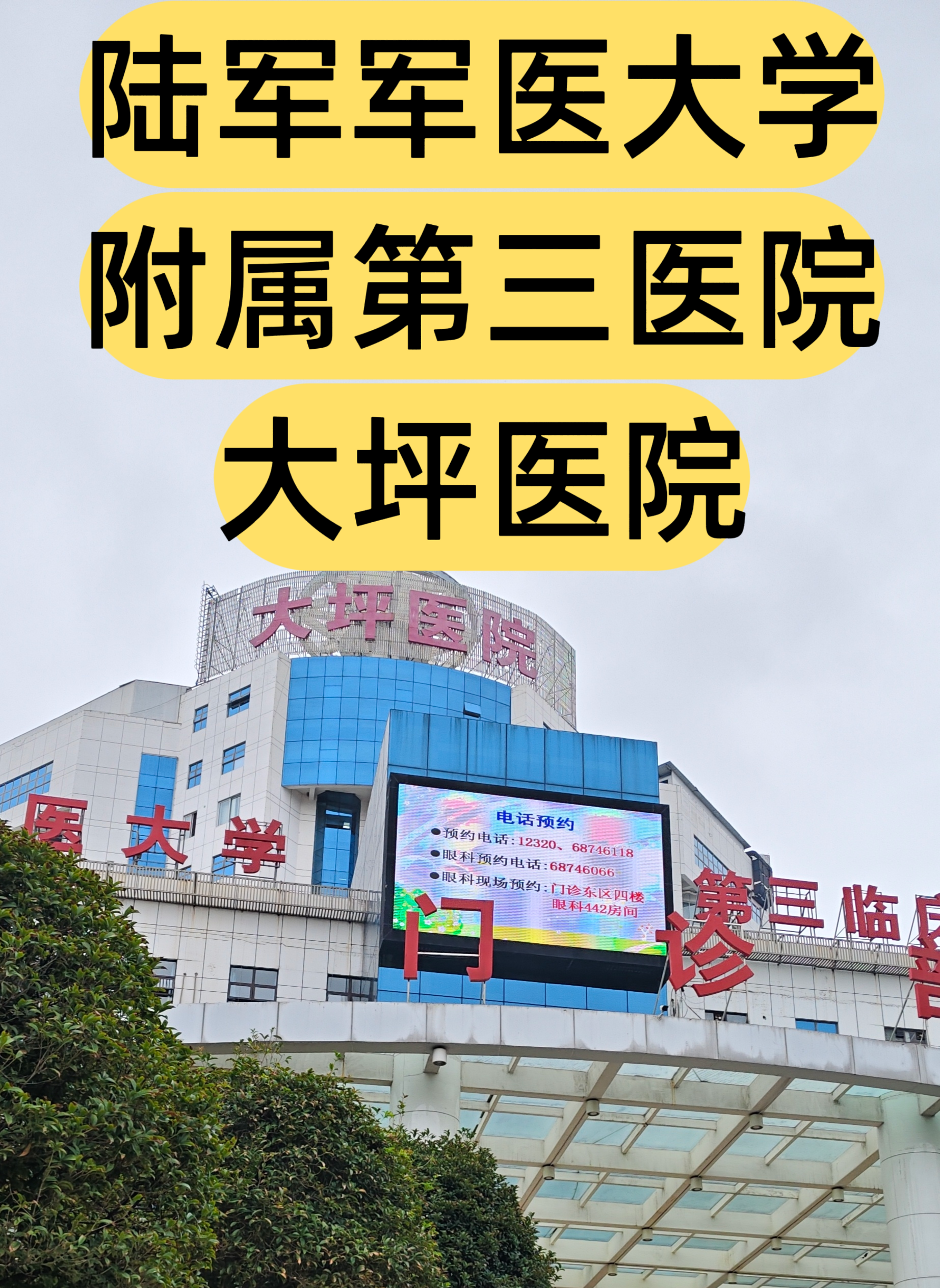 重庆陪诊师大坪医院陪诊取报告问诊拿药邮寄切片打病历跑腿等