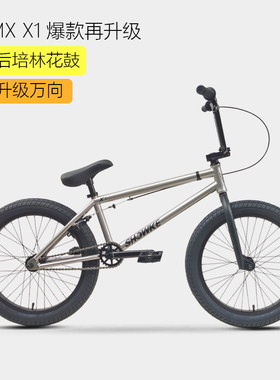 bmxshowke20高碳钢小轮径自行车