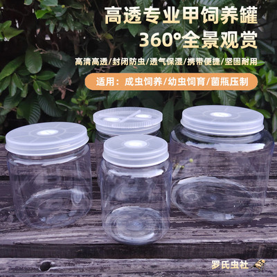 大兜锹甲幼虫饲养罐菌瓶甲虫饲养
