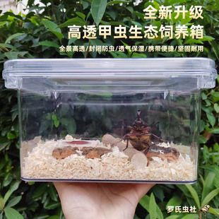 独角仙锹甲虫饲养箱套餐产房亚克力高清透明宠物昆虫爬宠造景缸盒
