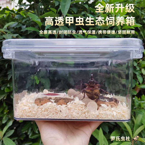 高清透独角仙锹甲虫生态饲养盒箱