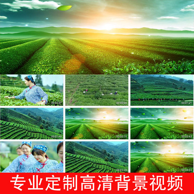 梦里客家伴奏版采茶背景视频260401
