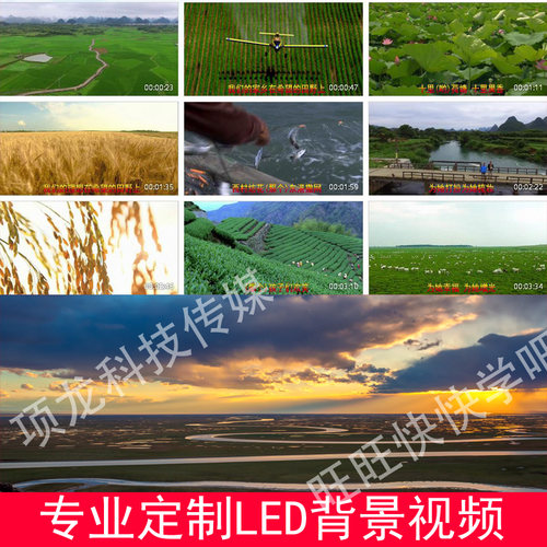 在希望的田野上伴奏配乐带字幕等多版发货LED大屏幕背景视频成品
