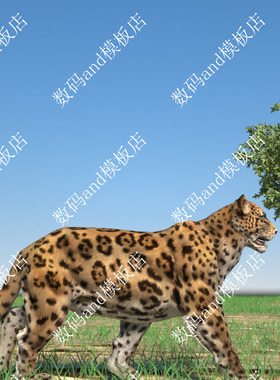 美洲豹骨骼绑定模型objfbxmaya3dsmaxc4d 虚幻4 ue4 blende美洲虎