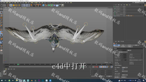 鸟3d模型动画素材obj,fbx,maya鸟 3dsmax鸟虚幻ue4blender鸟c4d鸟