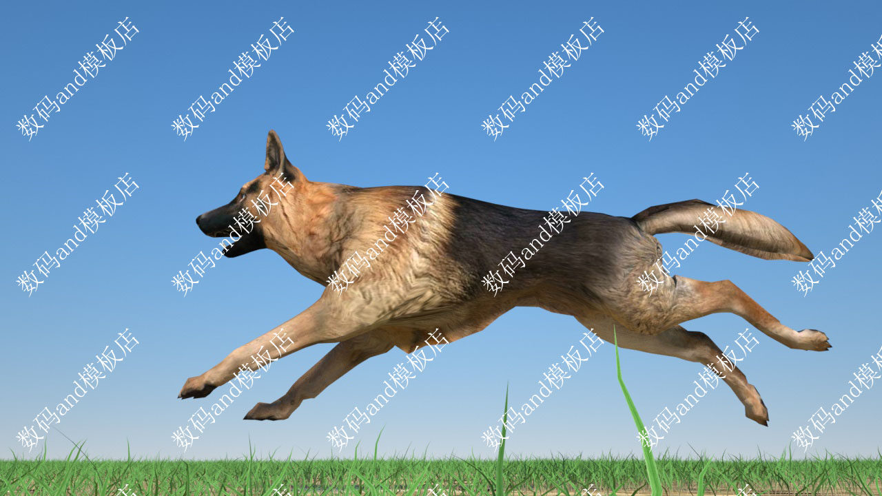 狗3d模型中华田园犬绑定objfbx素材maya3dsmax虚幻ue4blendec4d狗